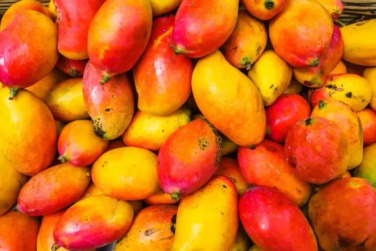 Biblical Meaning of Mango in Dreams
